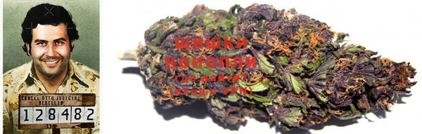 амф Абинск