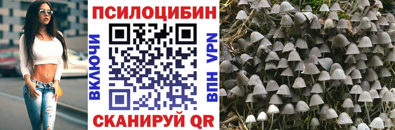 Псилоцибиновые грибы прущие грибы  Уржум 